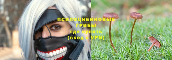 apvp Саяногорск