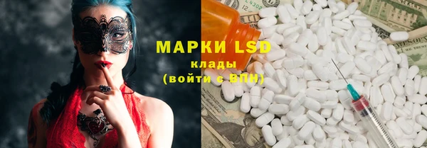 спиды Бородино