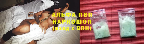 спиды Бородино