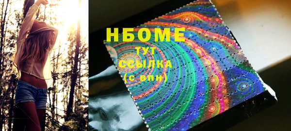 спиды Бородино