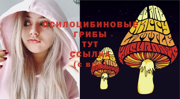 хмурый Бугульма