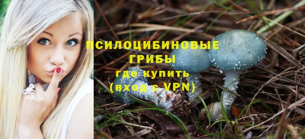 спиды Бородино