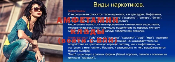 спиды Бородино