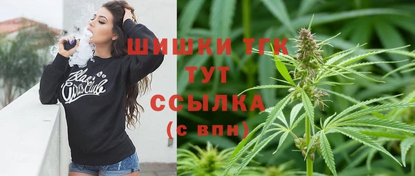 спиды Бородино