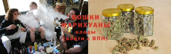 спиды Бородино