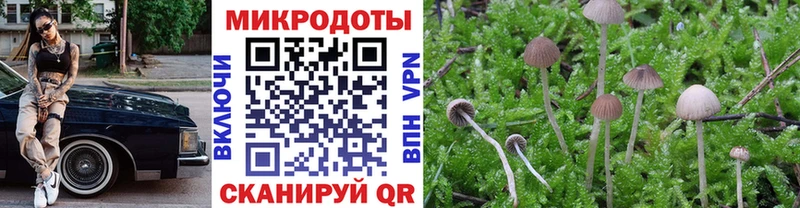 blacksprut купить наркоту Славянск-на-Кубани Галлюциногенные грибы мицелий